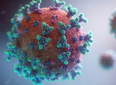 A close-up illustration of a virus